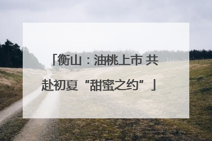 衡山：油桃上市 共赴初夏“甜蜜之约”