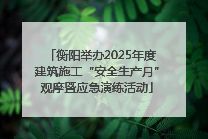 衡阳举办2025年度建筑施工“安全生产月”观摩暨应急演练活动