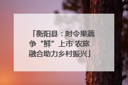 衡阳县：时令果蔬争“鲜”上市 农旅融合助力乡村振兴