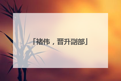 褚伟，晋升副部
