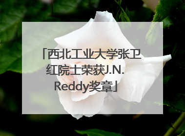 西北工业大学张卫红院士荣获J.N.Reddy奖章
