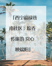 西宁福禄巷南社区：粽香传廉韵 党心映端阳
