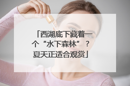 西湖底下藏着一个“水下森林”？夏天正适合观赏