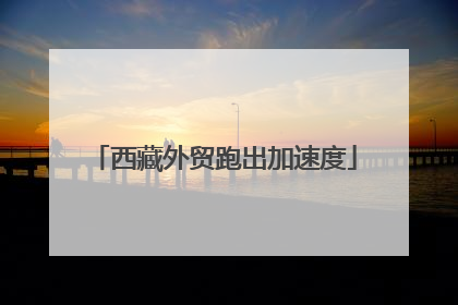 西藏外贸跑出加速度
