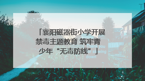 襄阳磁器街小学开展禁毒主题教育 筑牢青少年“无毒防线”