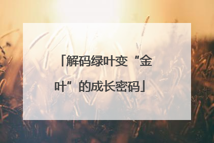解码绿叶变“金叶”的成长密码