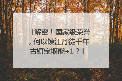 解密！国家级荣誉，何以镇江丹徒千年古镇宝堰能+1？
