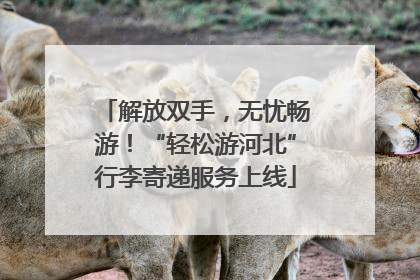 解放双手，无忧畅游！“轻松游河北”行李寄递服务上线