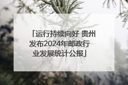 运行持续向好 贵州发布2024年邮政行业发展统计公报