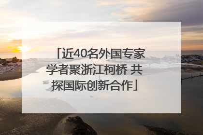 近40名外国专家学者聚浙江柯桥 共探国际创新合作