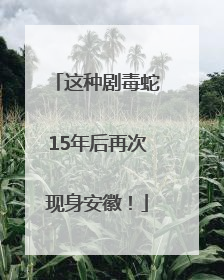 这种剧毒蛇15年后再次现身安徽！