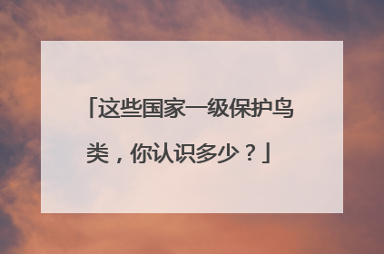 这些国家一级保护鸟类，你认识多少？