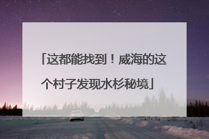 这都能找到！威海的这个村子发现水杉秘境