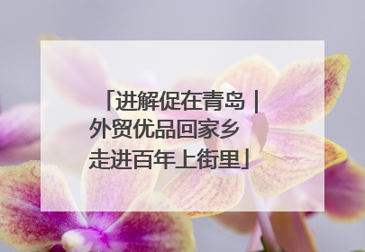 进解促在青岛｜外贸优品回家乡 走进百年上街里