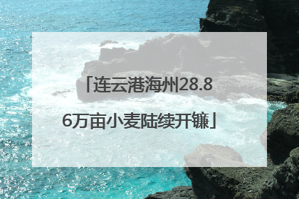 连云港海州28.86万亩小麦陆续开镰