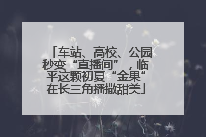 车站、高校、公园秒变“直播间”，临平这颗初夏“金果”在长三角播撒甜美