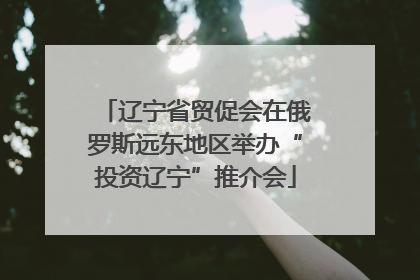 辽宁省贸促会在俄罗斯远东地区举办“投资辽宁”推介会