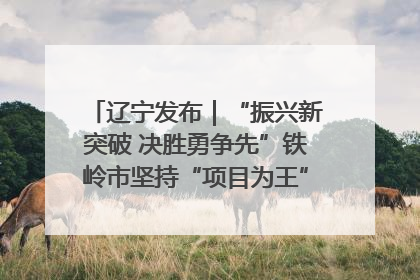 辽宁发布｜“振兴新突破 决胜勇争先”铁岭市坚持“项目为王”推进经济高质量发展