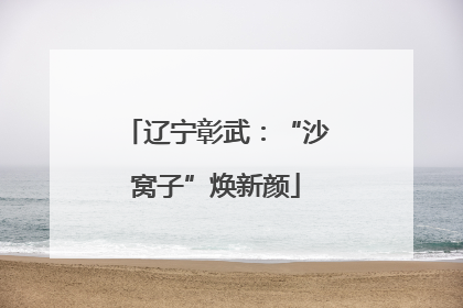 辽宁彰武：“沙窝子”焕新颜