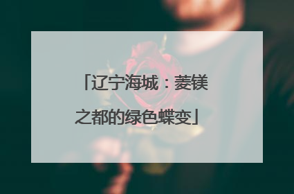 辽宁海城：菱镁之都的绿色蝶变