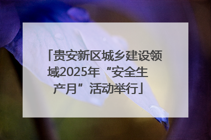 贵安新区城乡建设领域2025年“安全生产月”活动举行