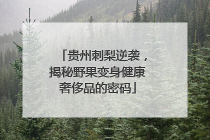 贵州刺梨逆袭，揭秘野果变身健康奢侈品的密码