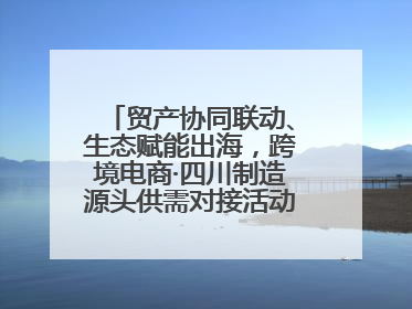 贸产协同联动、生态赋能出海，跨境电商·四川制造源头供需对接活动在成都举办