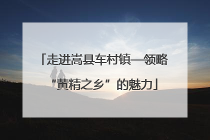 走进嵩县车村镇—领略“黄精之乡”的魅力