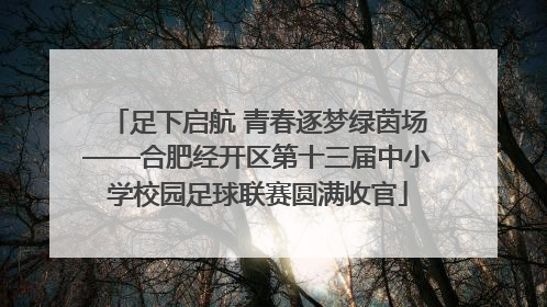 足下启航 青春逐梦绿茵场——合肥经开区第十三届中小学校园足球联赛圆满收官