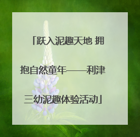 跃入泥趣天地 拥抱自然童年——利津三幼泥趣体验活动