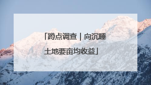 蹲点调查｜向沉睡土地要亩均收益