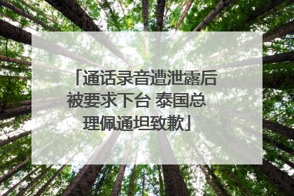 通话录音遭泄露后被要求下台 泰国总理佩通坦致歉