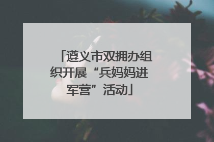 遵义市双拥办组织开展“兵妈妈进军营”活动