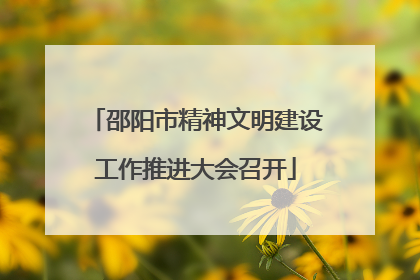 邵阳市精神文明建设工作推进大会召开