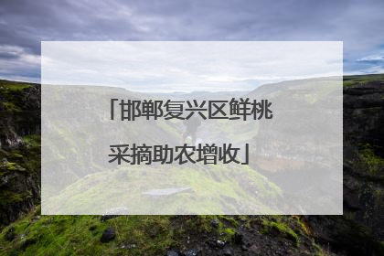 邯郸复兴区鲜桃采摘助农增收