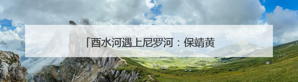 酉水河遇上尼罗河：保靖黄金茶、村厨“出海”启新途