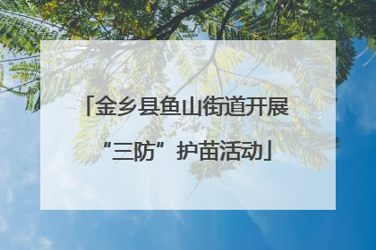 金乡县鱼山街道开展“三防”护苗活动