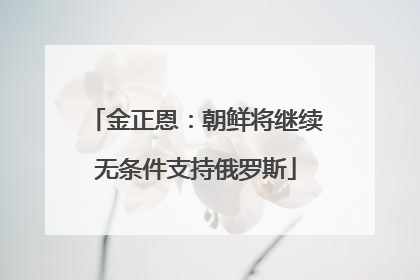 金正恩：朝鲜将继续无条件支持俄罗斯