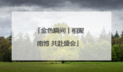 金色瞬间丨相聚南博 共赴盛会