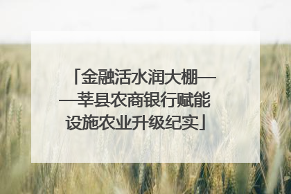 金融活水润大棚——莘县农商银行赋能设施农业升级纪实
