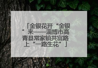 金银花开“金银”来——淄博市高青县常家镇共富路上“一路生花”