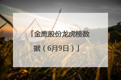 金鹰股份龙虎榜数据（6月9日）