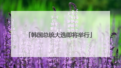 韩国总统大选即将举行