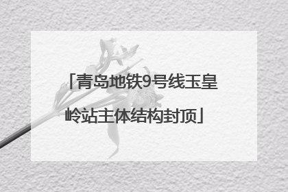 青岛地铁9号线玉皇岭站主体结构封顶