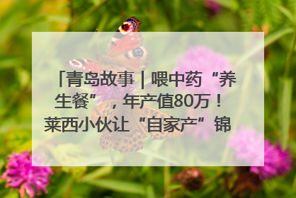 青岛故事｜喂中药“养生餐”，年产值80万！莱西小伙让“自家产”锦鲤“游”向全国