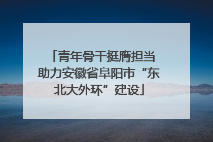 青年骨干挺膺担当 助力安徽省阜阳市“东北大外环”建设