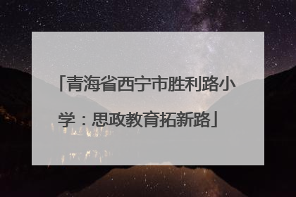 青海省西宁市胜利路小学：思政教育拓新路