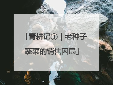 青耕记③｜老种子蔬菜的销售困局