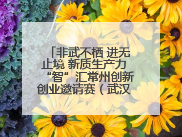 非武不栖 进无止境 新质生产力“智”汇常州创新创业邀请赛（武汉站）圆满举办