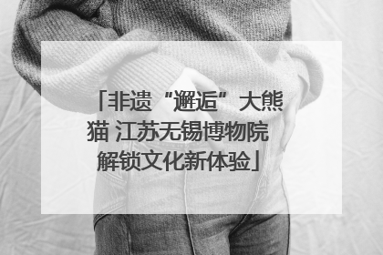 非遗“邂逅”大熊猫 江苏无锡博物院解锁文化新体验